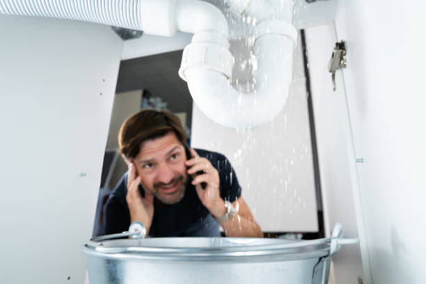 Best Best Plumbers Near Me  in Wahneta, FL