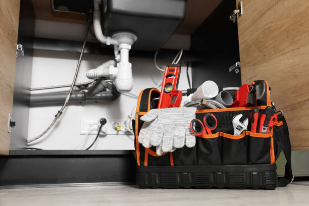 Best Clogged Drain Plumber  in Wahneta, FL