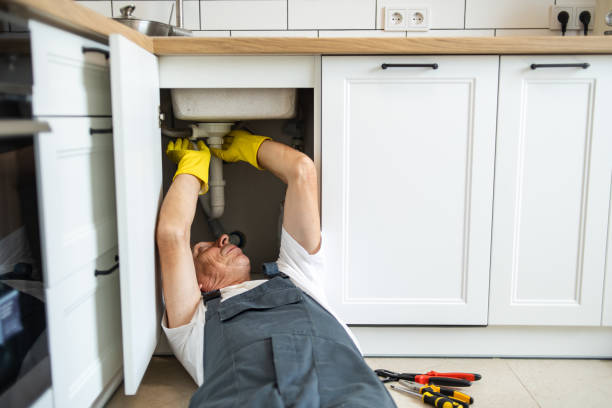 Best Same-Day Plumbing Service  in Wahneta, FL